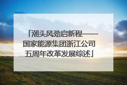 潮头风劲启新程——国家能源集团浙江公司五周年改革发展综述