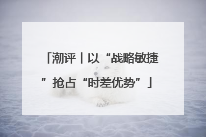 潮评丨以“战略敏捷”抢占“时差优势”