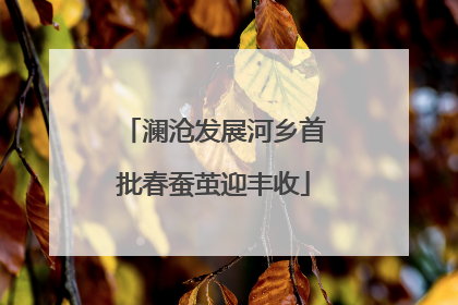 澜沧发展河乡首批春蚕茧迎丰收