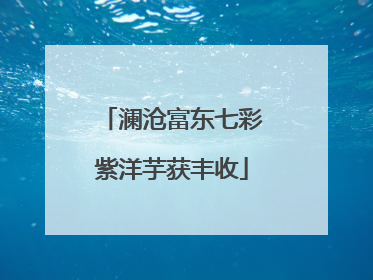 澜沧富东七彩紫洋芋获丰收