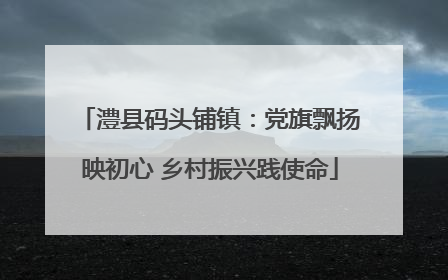 澧县码头铺镇：党旗飘扬映初心 乡村振兴践使命