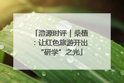 澧源时评｜桑植：让红色旅游开出“研学”之光