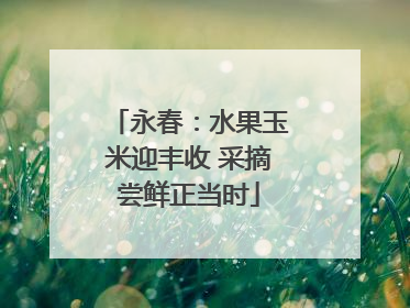 永春：水果玉米迎丰收 采摘尝鲜正当时