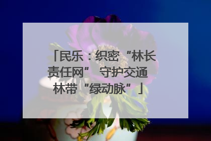 民乐：织密“林长责任网” 守护交通林带“绿动脉”