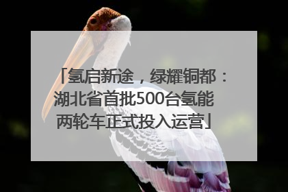 氢启新途，绿耀铜都：湖北省首批500台氢能两轮车正式投入运营
