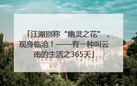 江湖别称“幽灵之花”，现身临沧！——有一种叫云南的生活之365天