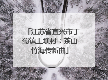 江苏省宜兴市丁蜀镇上坝村：茶山竹海传新曲