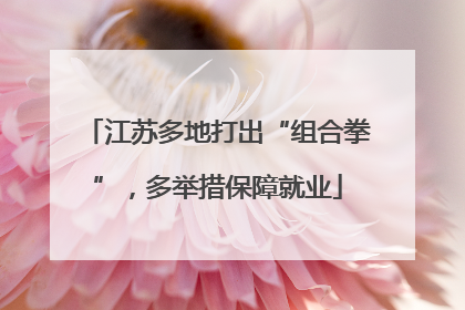 江苏多地打出“组合拳”，多举措保障就业