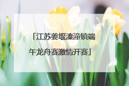 江苏姜堰溱潼镇端午龙舟赛激情开赛