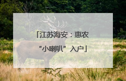 江苏海安：惠农“小喇叭”入户