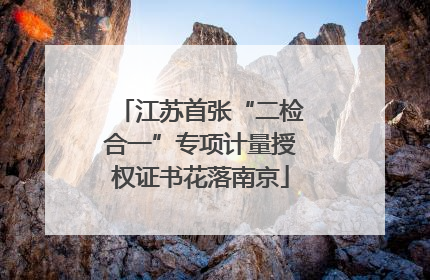 江苏首张“二检合一”专项计量授权证书花落南京
