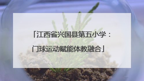 江西省兴国县第五小学：门球运动赋能体教融合
