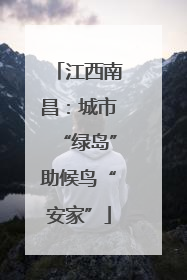 江西南昌：城市“绿岛”助候鸟“安家”