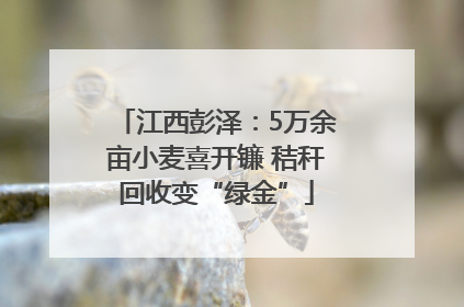 江西彭泽：5万余亩小麦喜开镰 秸秆回收变“绿金”