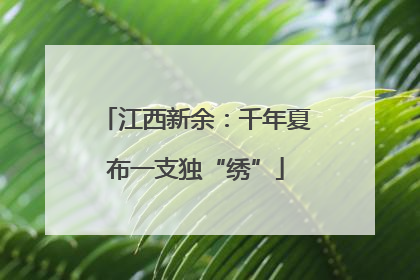 江西新余：千年夏布一支独“绣”