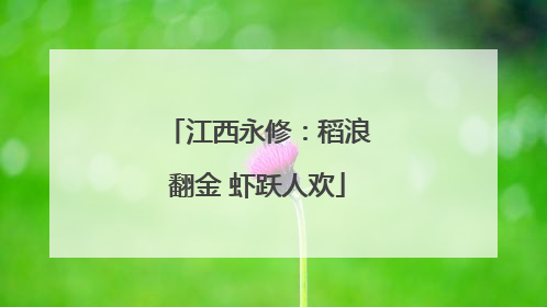 江西永修：稻浪翻金 虾跃人欢