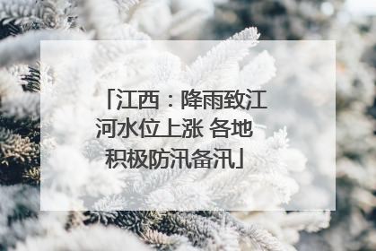 江西：降雨致江河水位上涨 各地积极防汛备汛