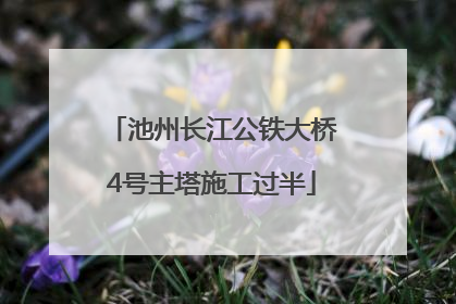 池州长江公铁大桥4号主塔施工过半