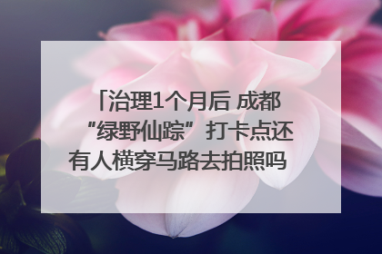治理1个月后 成都“绿野仙踪”打卡点还有人横穿马路去拍照吗？｜民情瞭望