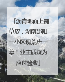 沥青地面上铺草皮，湖南邵阳一小区现荒唐一幕！业主质疑为应付验收