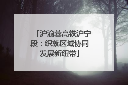沪渝蓉高铁沪宁段：织就区域协同发展新纽带