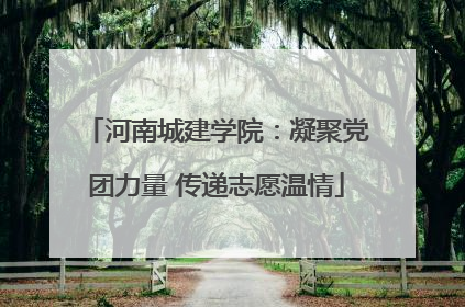 河南城建学院：凝聚党团力量 传递志愿温情