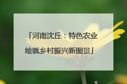 河南沈丘：特色农业绘就乡村振兴新图景