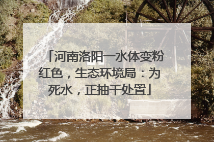 河南洛阳一水体变粉红色，生态环境局：为死水，正抽干处置