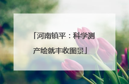 河南镇平：科学测产绘就丰收图景