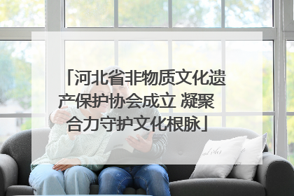 河北省非物质文化遗产保护协会成立 凝聚合力守护文化根脉