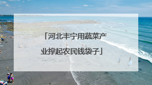 河北丰宁用蔬菜产业撑起农民钱袋子