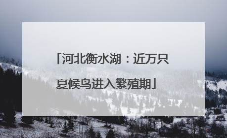 河北衡水湖：近万只夏候鸟进入繁殖期