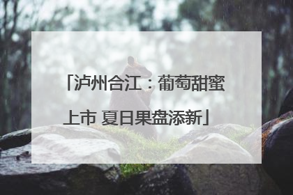泸州合江：葡萄甜蜜上市 夏日果盘添新