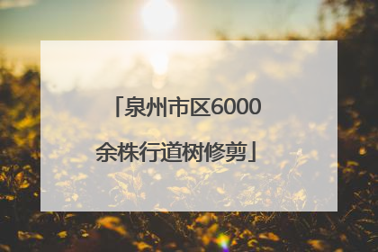 泉州市区6000余株行道树修剪