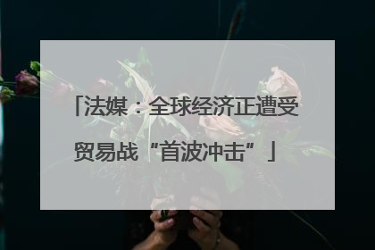 法媒：全球经济正遭受贸易战“首波冲击”