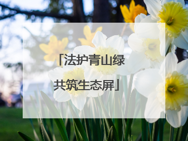 法护青山绿 共筑生态屏