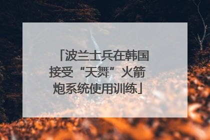 波兰士兵在韩国接受“天舞”火箭炮系统使用训练