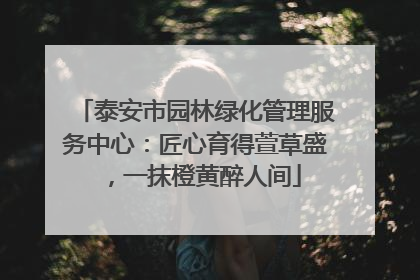泰安市园林绿化管理服务中心：匠心育得萱草盛，一抹橙黄醉人间