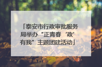泰安市行政审批服务局举办“正青春‘政’有我”主题团建活动
