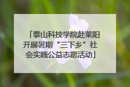 泰山科技学院赴莱阳开展暑期“三下乡”社会实践公益志愿活动