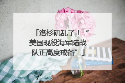 洛杉矶乱了！“美国现役海军陆战队正高度戒备”