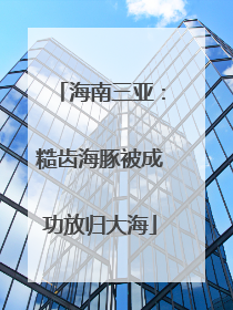 海南三亚：糙齿海豚被成功放归大海
