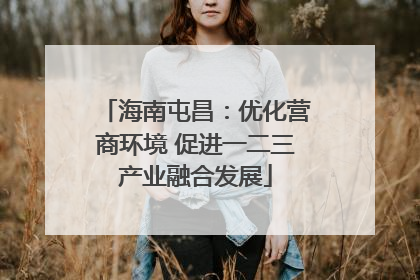 海南屯昌：优化营商环境 促进一二三产业融合发展
