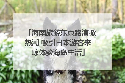 海南旅游东京路演掀热潮 吸引日本游客来琼体验海岛生活