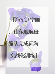 海军辽宁舰、山东舰航母编队完成远海实战化训练