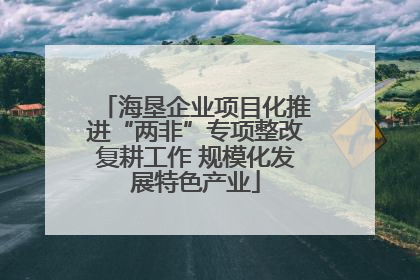 海垦企业项目化推进“两非”专项整改复耕工作 规模化发展特色产业