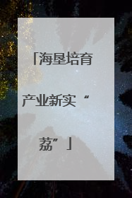海垦培育产业新实“荔”