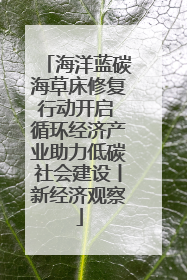 海洋蓝碳海草床修复行动开启 循环经济产业助力低碳社会建设丨新经济观察