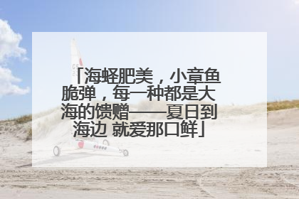 海蛏肥美，小章鱼脆弹，每一种都是大海的馈赠——夏日到海边 就爱那口鲜