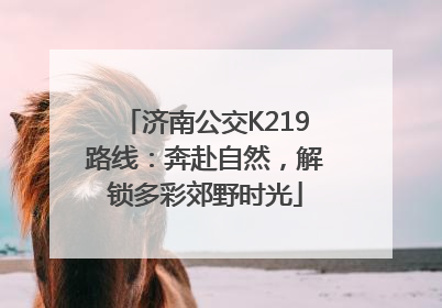济南公交K219路线：奔赴自然，解锁多彩郊野时光